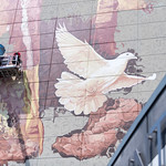 Calle Libre at the VIC