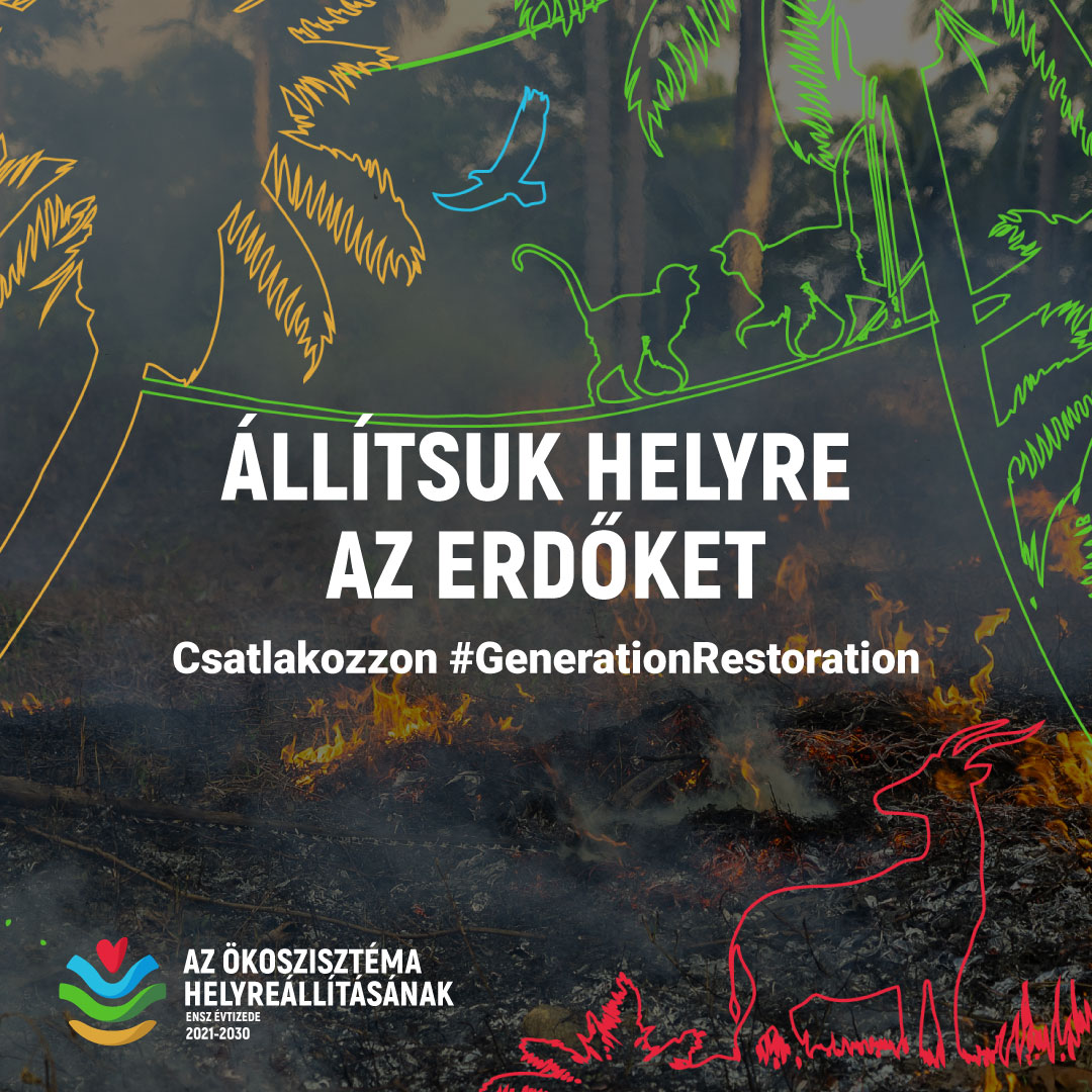 alt text is missing alt text is missing