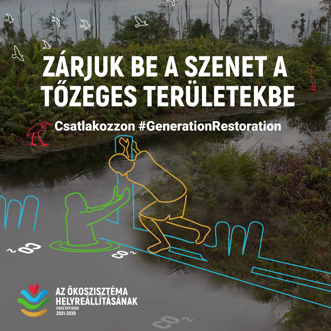 alt text is missing alt text is missing