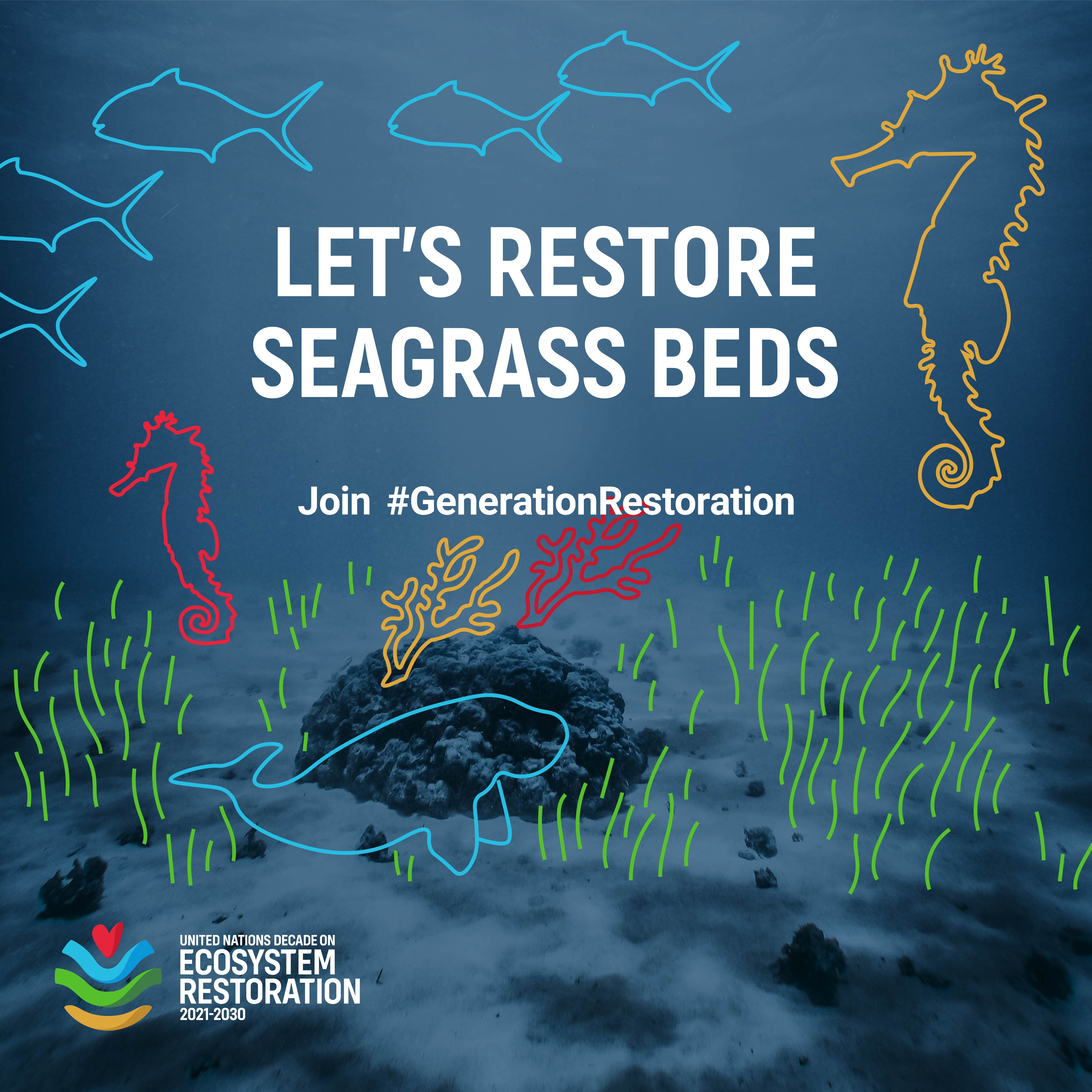 alt text is missing alt text is missing