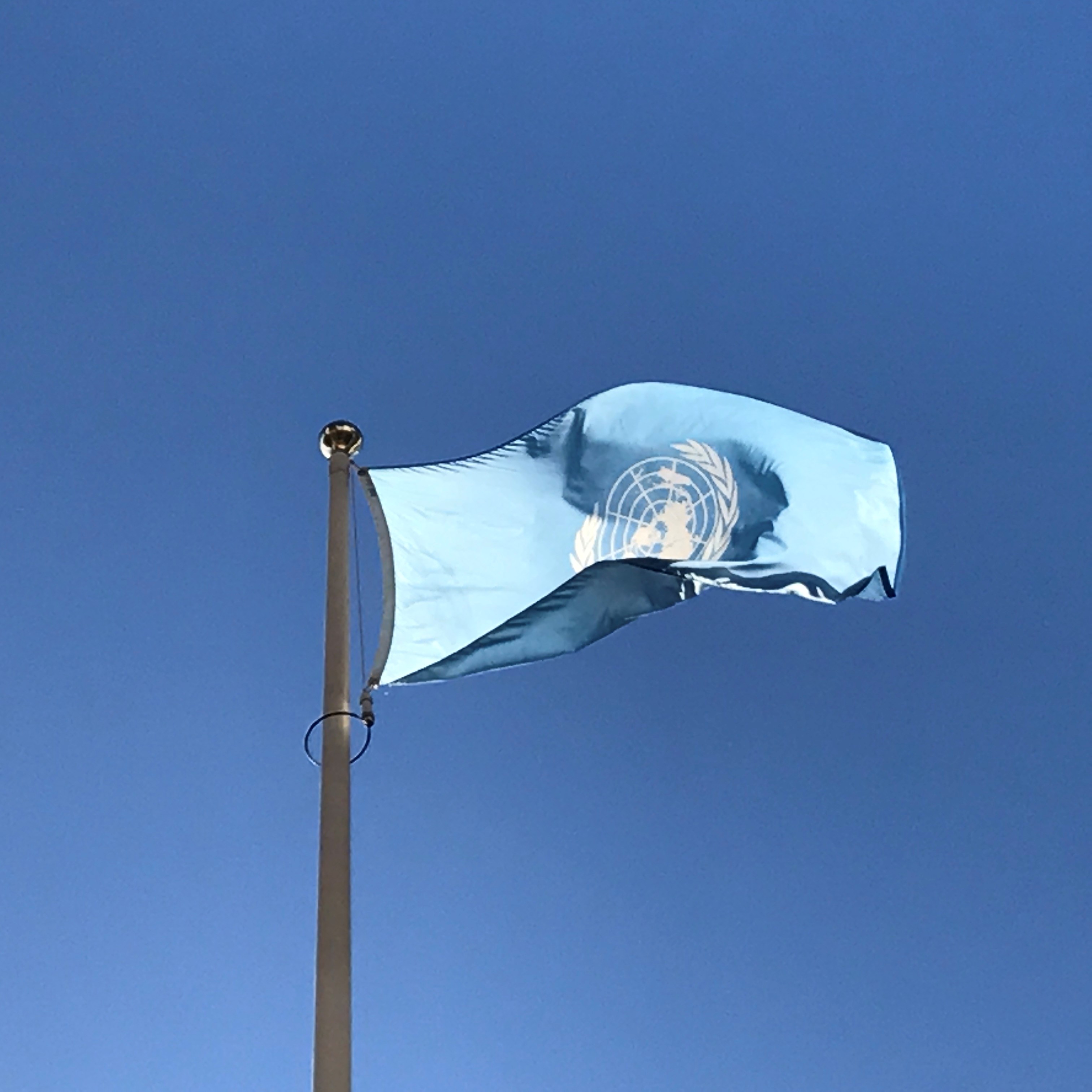 UN flag UN flag
