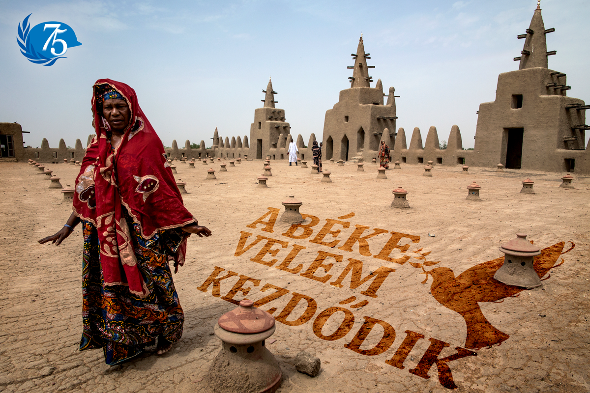 alt text is missing alt text is missing