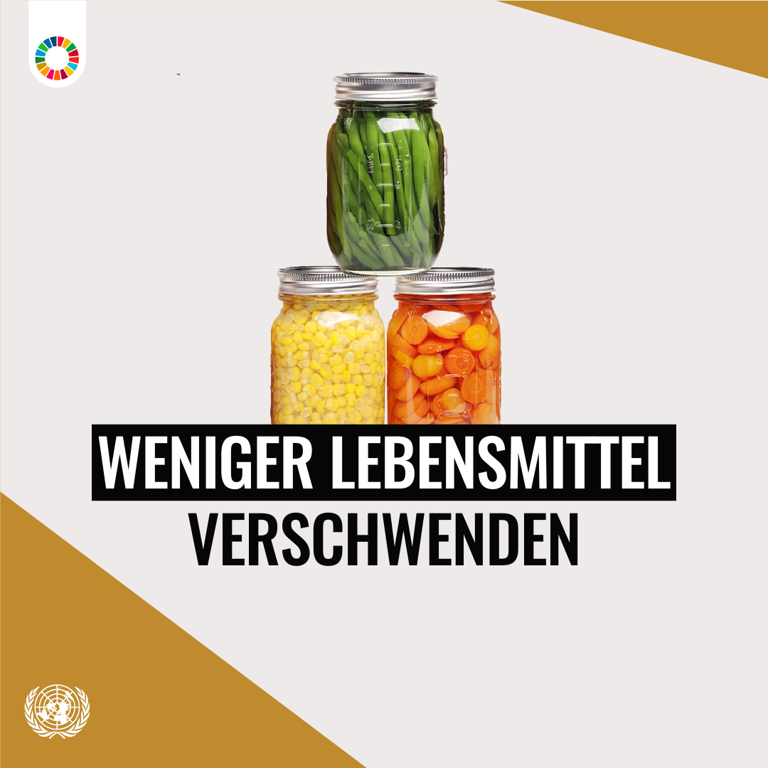 /unis/uploads/res/campaigns/act-for-our-common-future_html/Reduce_Consumption_German_2.png